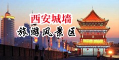 骚逼被插,鸡吧插骚逼中国陕西-西安城墙旅游风景区